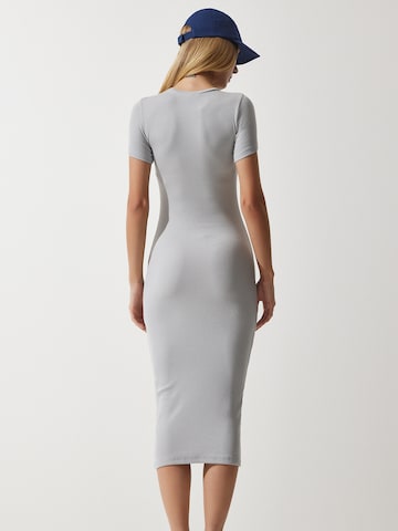 Happiness İstanbul Kleid in Grau