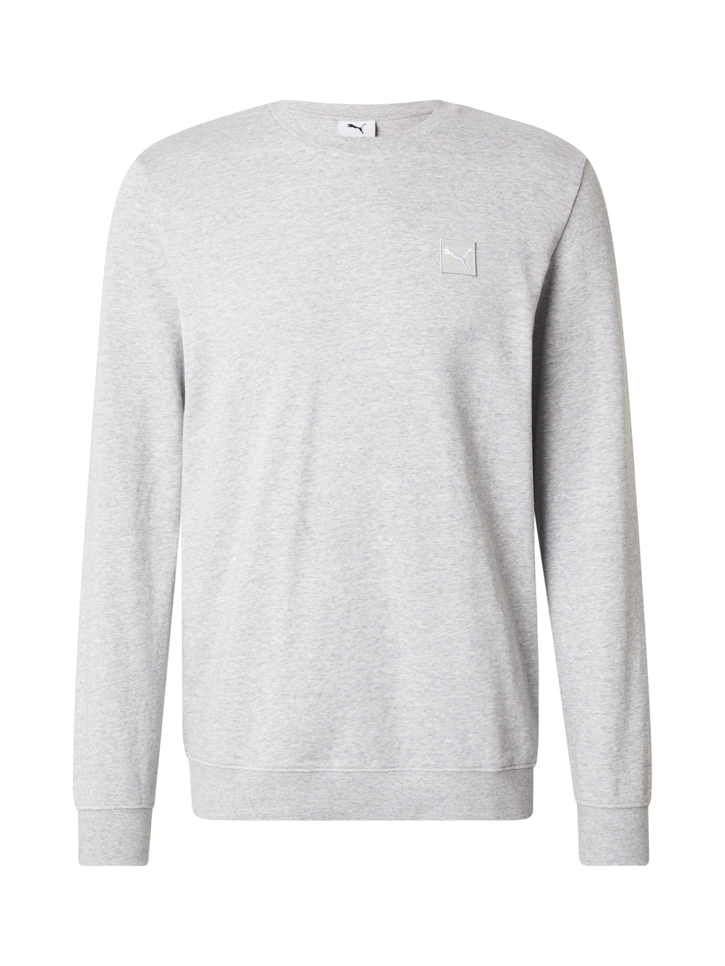 PUMA Spordidressipluusid 'Essentials', värv hall: eest vaates