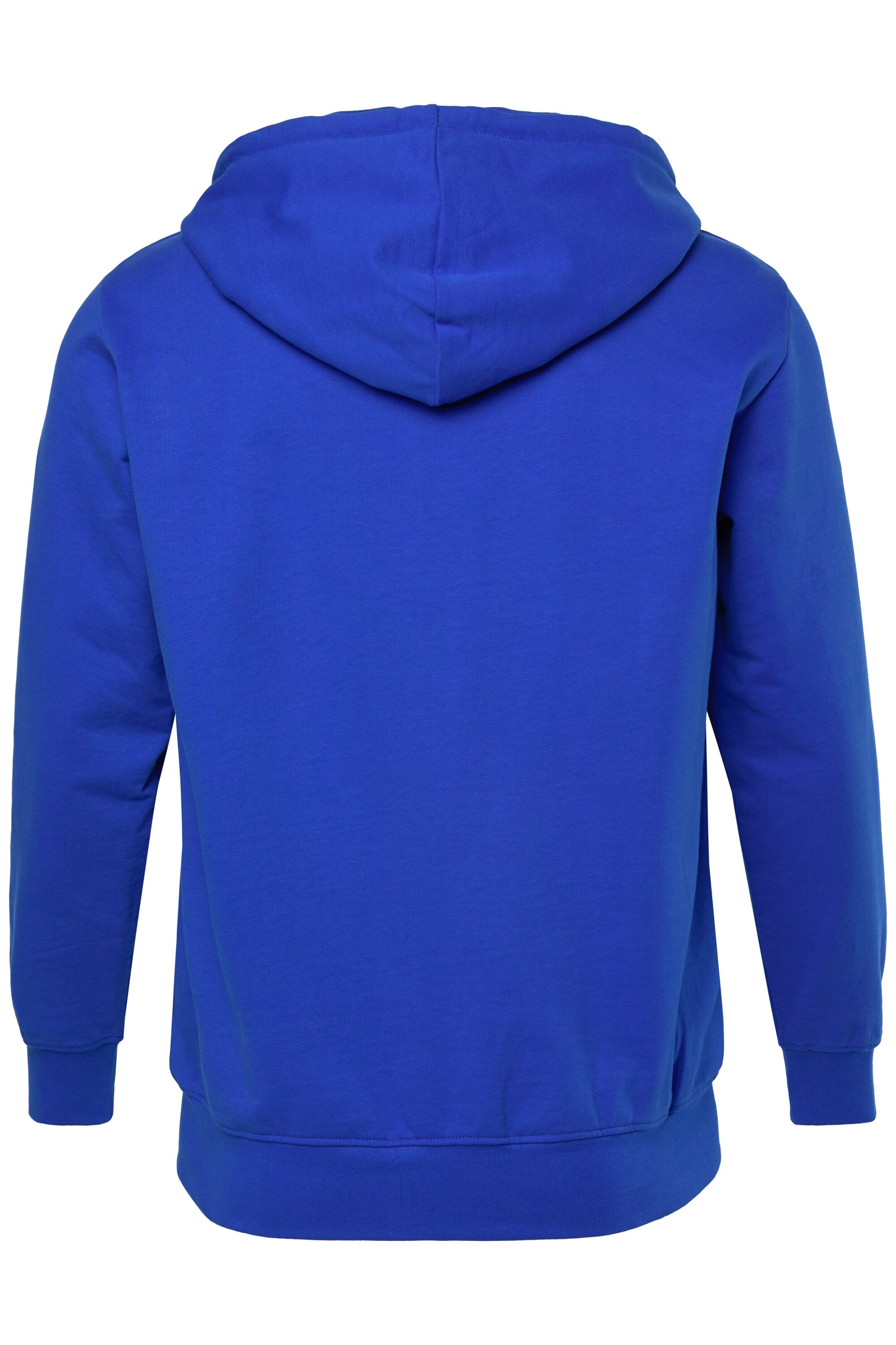 Men Plus Sweatshirt in Blauw