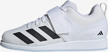 ADIDAS PERFORMANCE - Calzado deportivo 'Powerlift 5' en blanco: frente