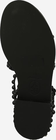 ASH Strap Sandals in Black