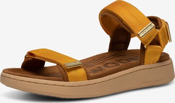 WODEN Sandal ' Line ' in Brown: front