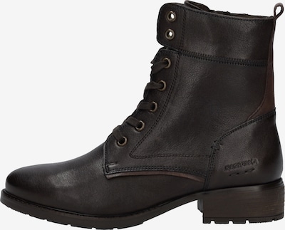 JOSEF SEIBEL Stiefelette Kate 07 in 36 in dunkelbraun, Produktansicht