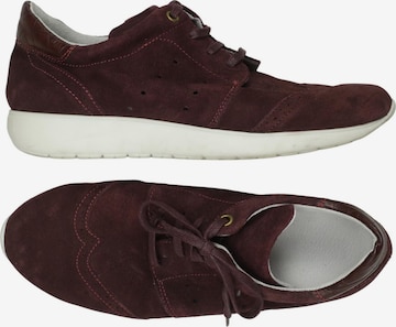 Next Sneaker 39 in Rot: Vorderseite