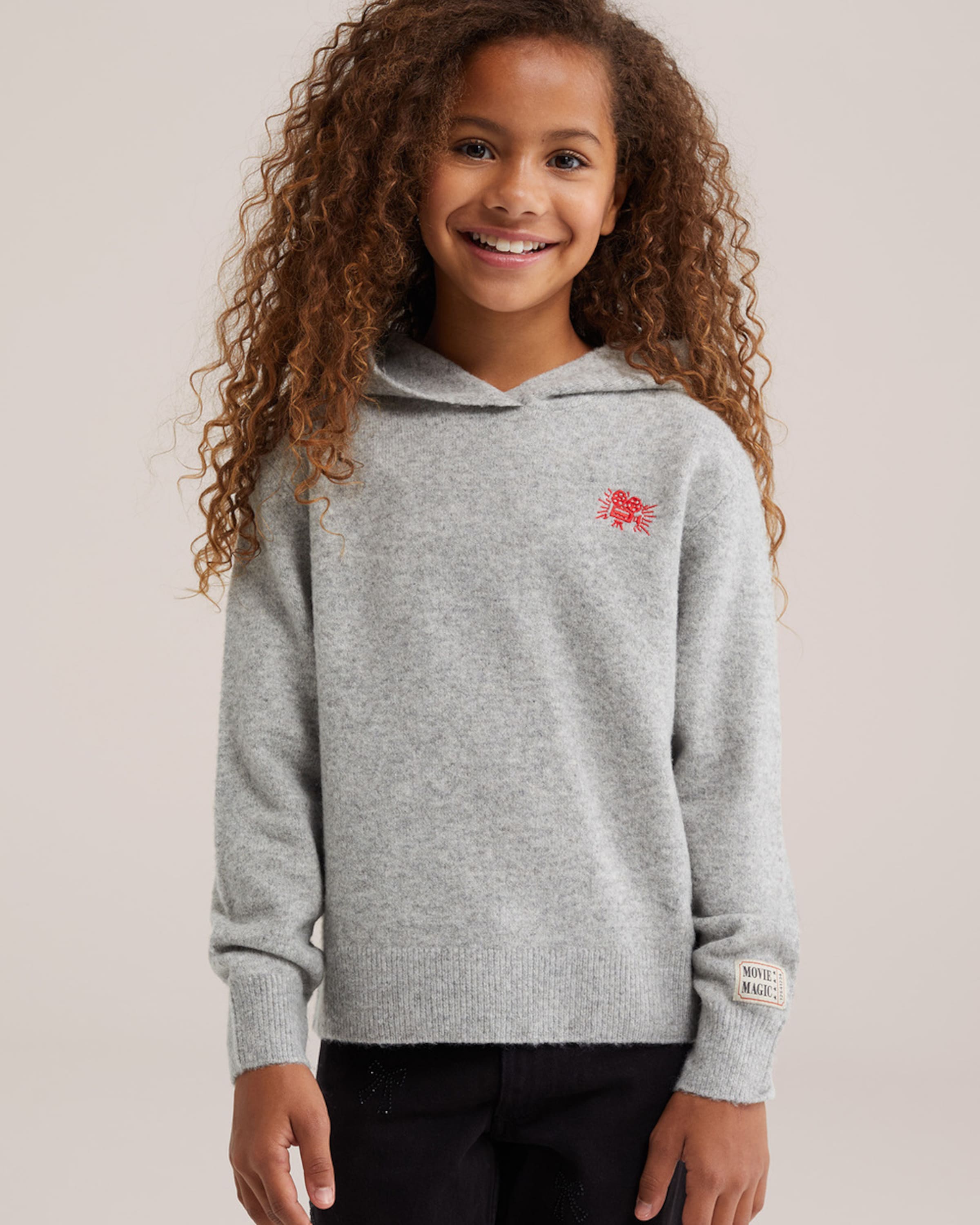 WE Fashion Sweater in Grey