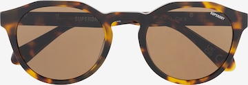 Superdry Eyewear Sonnenbrille in Braun: Vorderseite