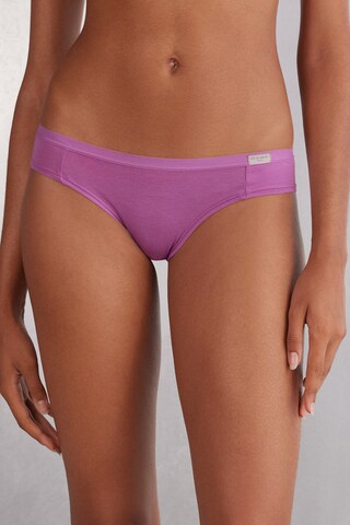 INTIMISSIMI Slip in Lila: Vorderseite