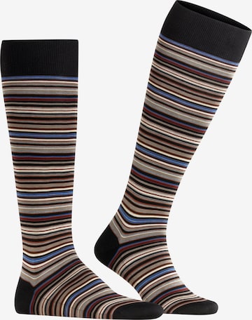 FALKE Knee High Socks 'Microblock' in Mixed colors: front