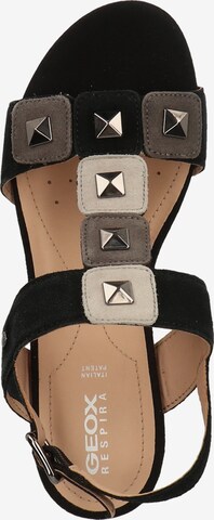 GEOX Sandalen met riem in Zwart