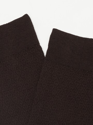 CALZEDONIA Socks in Brown