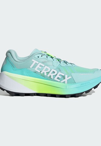 ADIDAS TERREX Outdoorschuh 'Agravic 3' in Blau