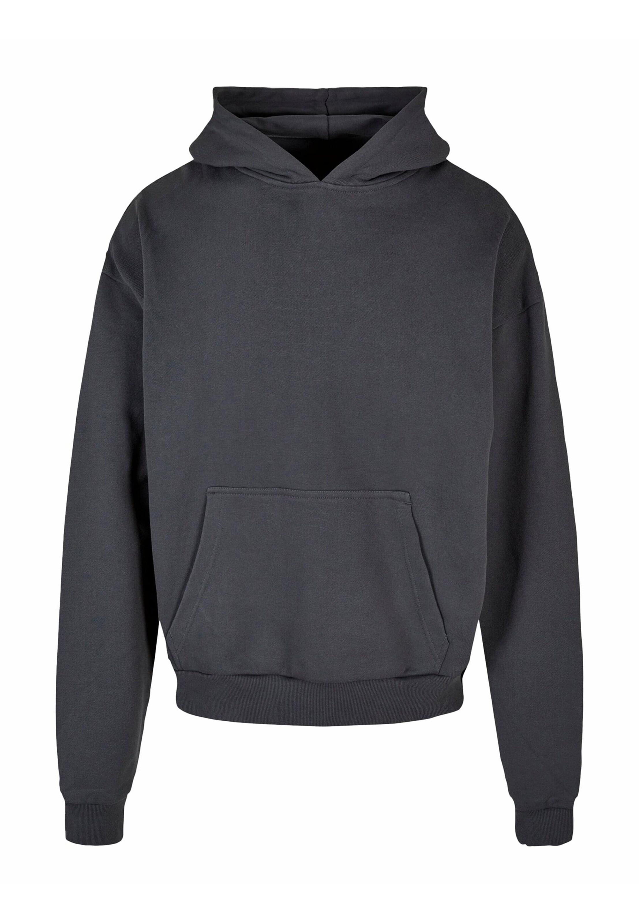 ROCAWEAR Sweatshirt in Grey: front