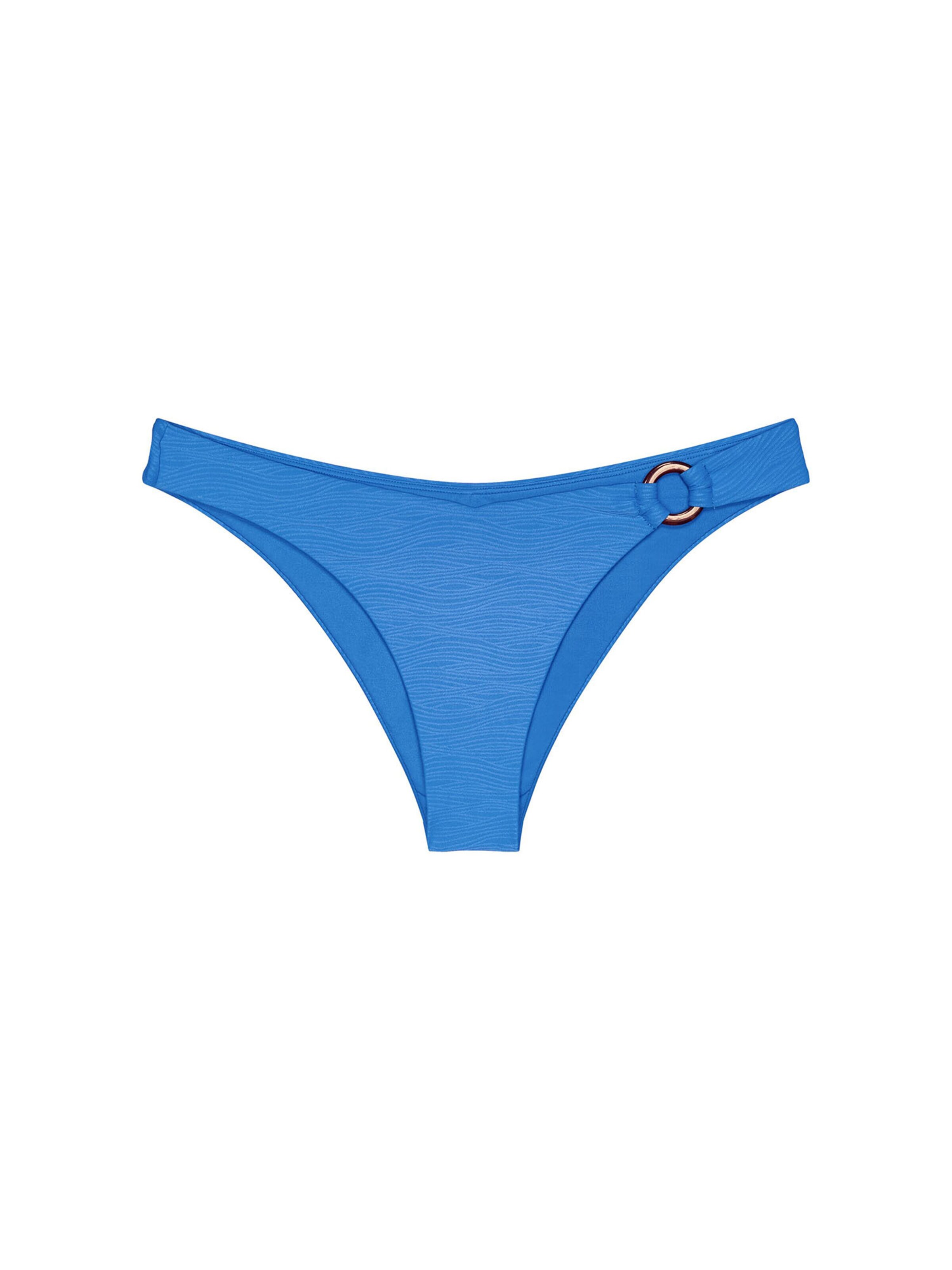 TRIUMPH Bikini bottom ' Red Label Summer Dune ' in Blue: front