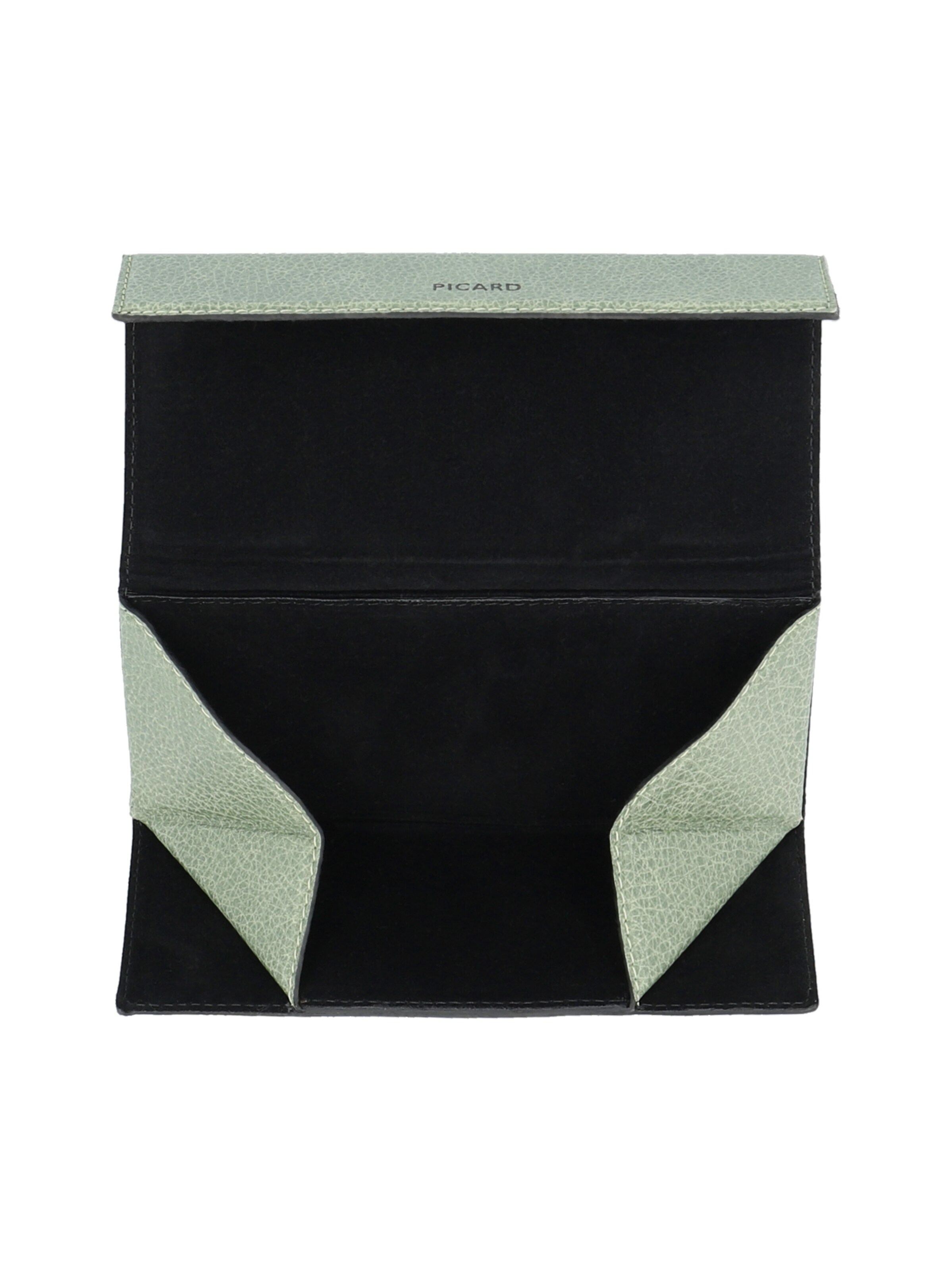 Picard Etui 'Taste' in Groen