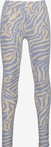 Raizzed Skinny Leggings in Blue: front