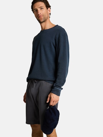 Regular Pantalon TOM TAILOR en gris