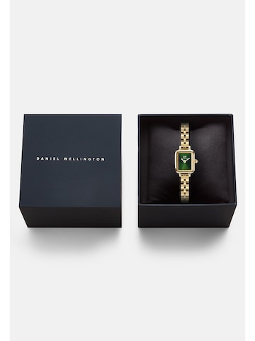 Daniel Wellington Analoguhr in Gold