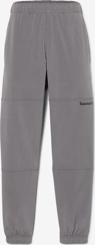 Pantaloni di TIMBERLAND in grigio: frontale