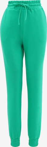 Effilé Pantalon FRESHLIONS en vert : devant