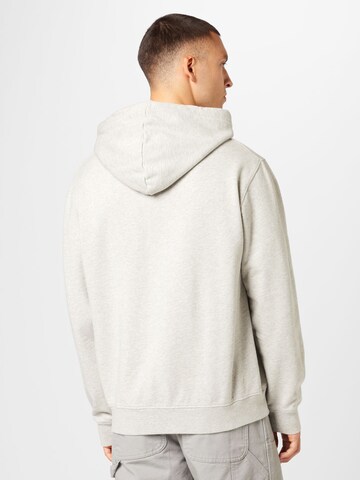 REPLAY Sweatshirt i grå