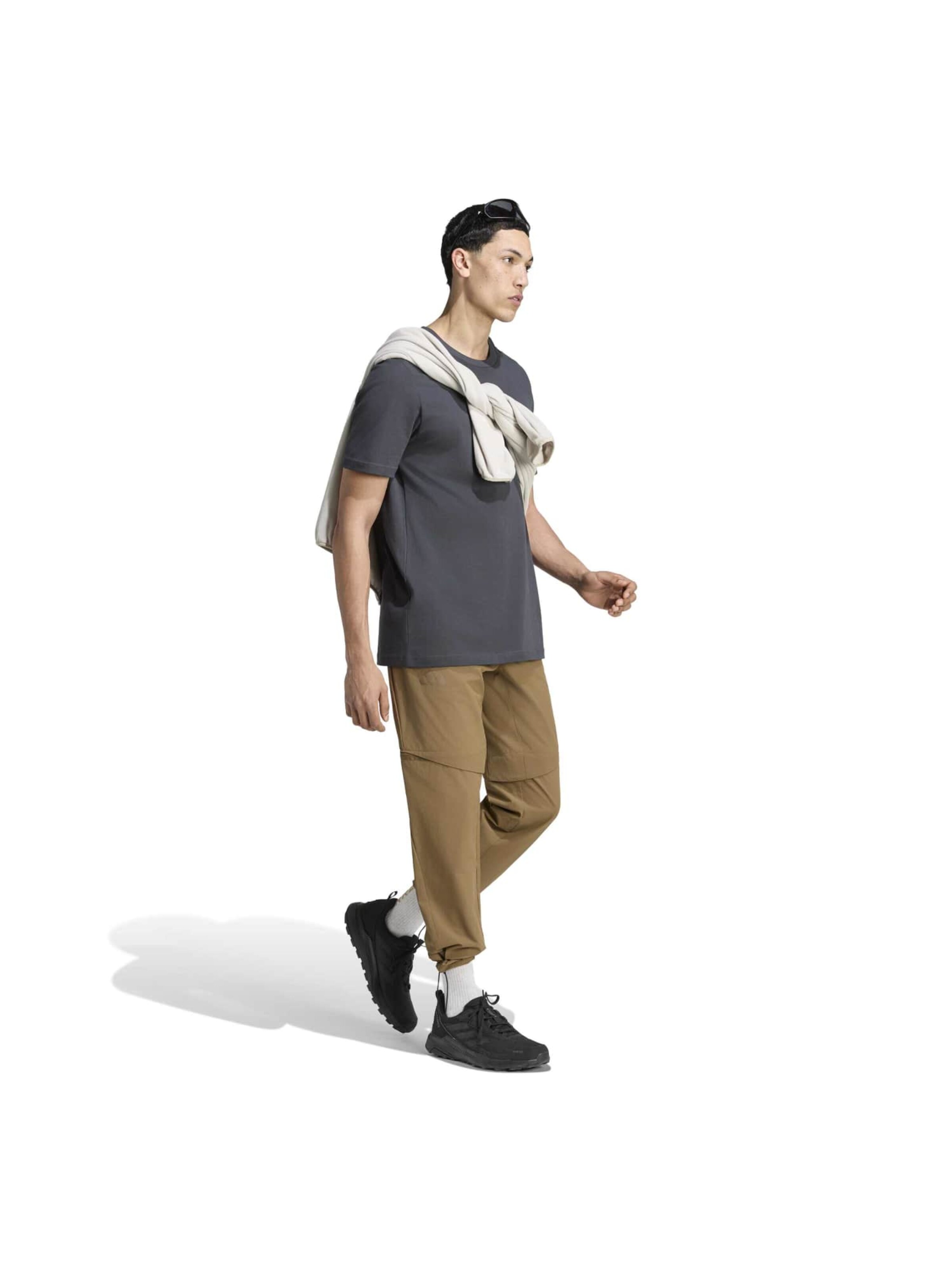ADIDAS TERREX regular Παντελόνι πεζοπορίας σε καφέ