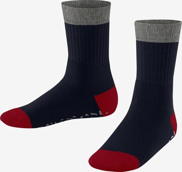 ESPRIT Socken 'Cozy Memphis' in Blau: Vorderseite