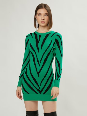 Abito in maglia di Influencer in verde: frontale