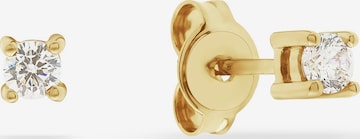 ESPRIT Ohrringe in Gold: Vorderseite