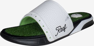 REEF Beach & Pool Shoes in Green: front