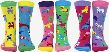 United Odd Socks Sokken in Gemengde kleuren: voorkant