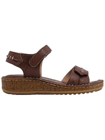 Limoya Sandals 'Damensandalen' in Brown