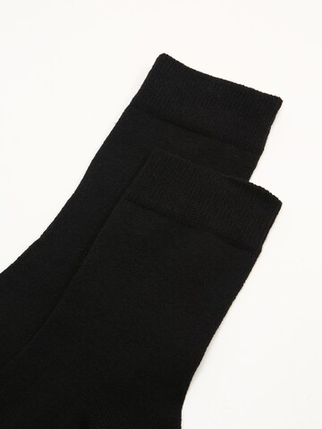 Albert Schäfer Socks in Black