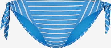 Skiny Bikini Bottoms in Blue: front
