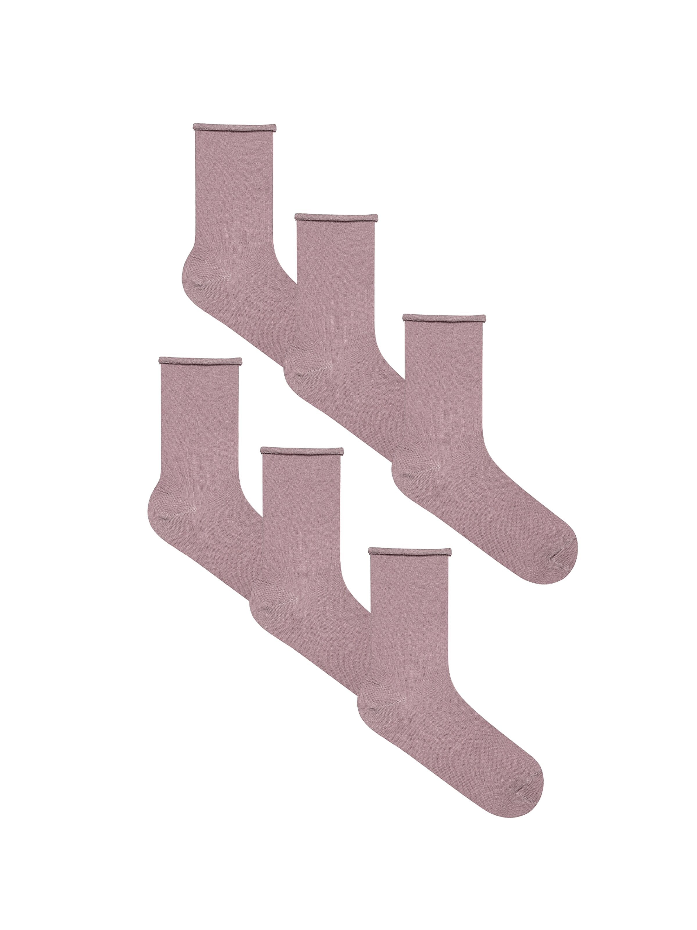Albero Natur Socks 'Bio-Baumwoll-Socken mit Rollrand Unisex – 6er Pack' in Purple: front