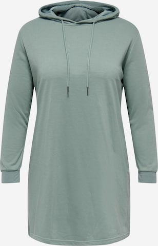 ONLY Carmakoma Dress in Green: front