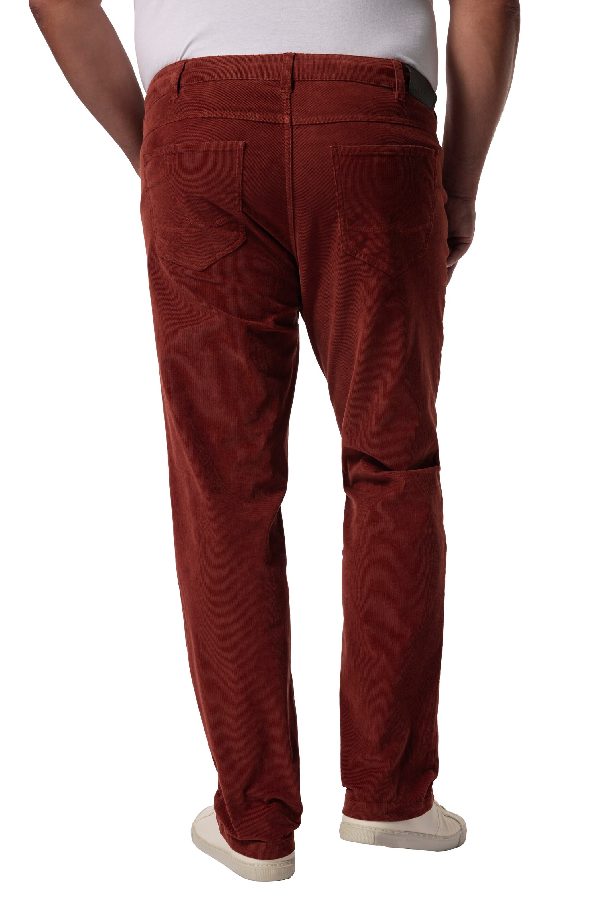 Men Plus Regular Pants in Brown