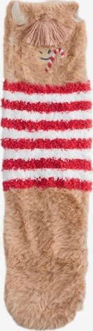 Next Sukat värissä ruskea: etupuoli