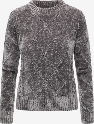 Ragwear Sweater 'Jannina' in Grey: front