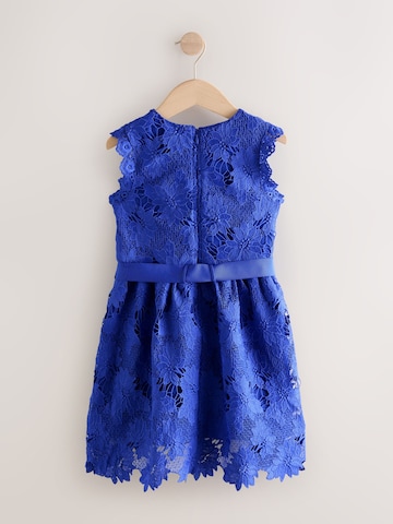 Next Dress in Blue