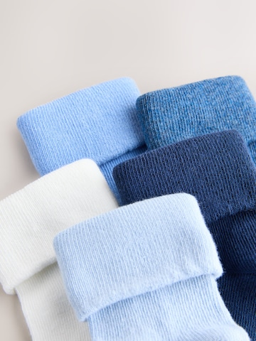 Next Socks in Blue