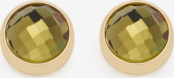 LEONARDO Earrings in Gold