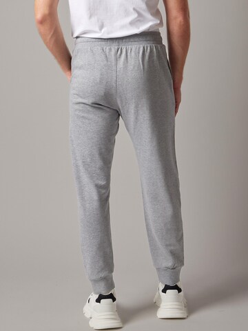 OWN Off With Nature regular Bukser 'Joggers' i grå