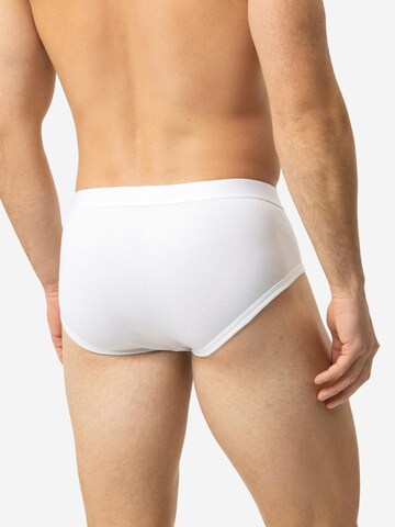 Mey Slip 'Casual Cotton' in White