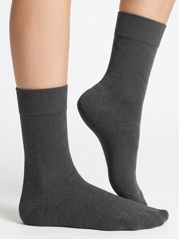 footstar Socken 'EVERYDAY!'‌‌‌‌‌ in Grau