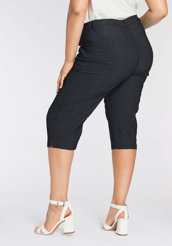 KjBRAND Regular Pants in Black