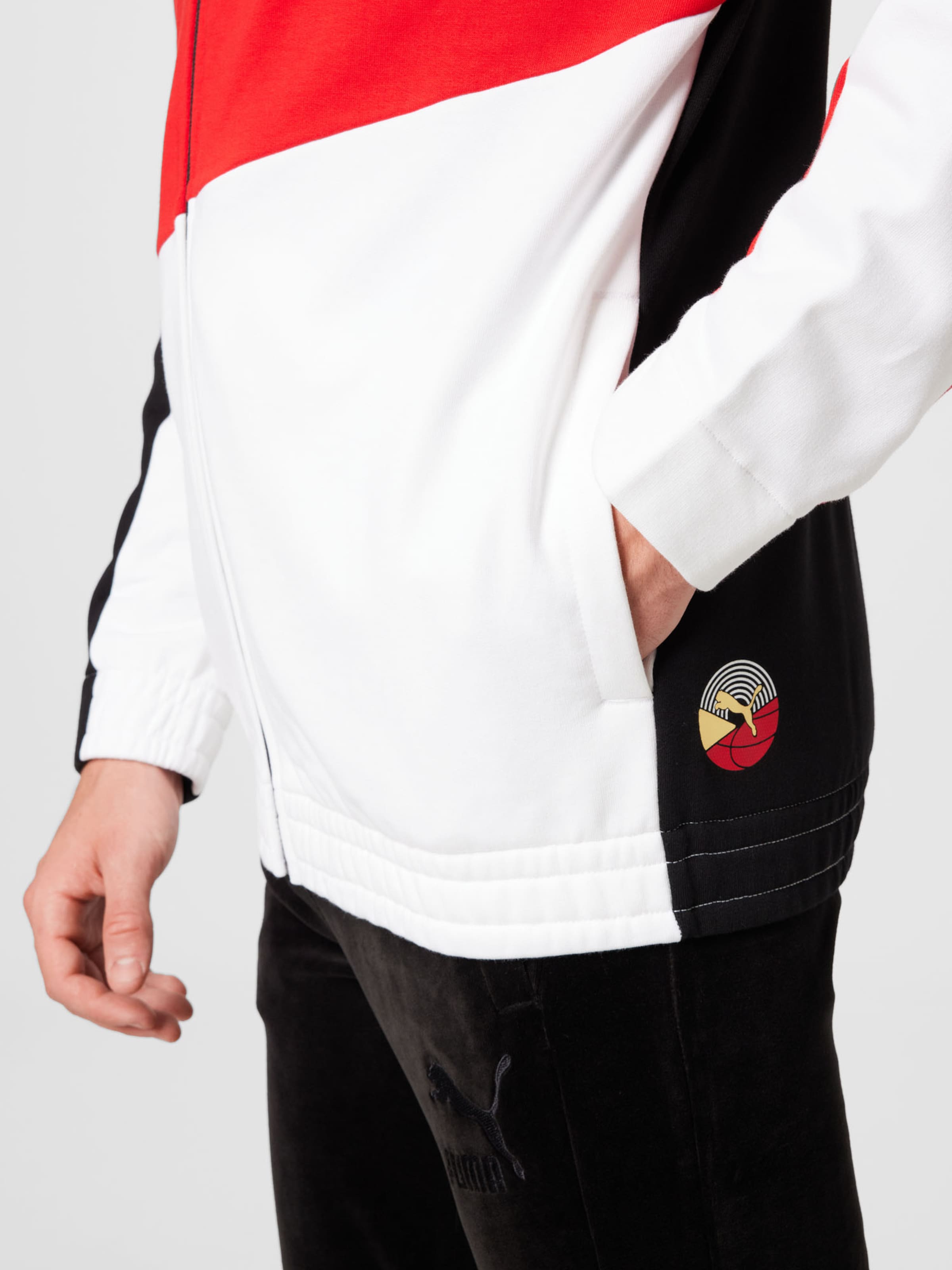 Männer Sportbekleidung PUMA Sportsweatjacke in Schwarz, Weiß - ZW16791 Männer Sportbekleidung PUMA Sportsweatjacke in Schwarz, Weiß - ZW16791