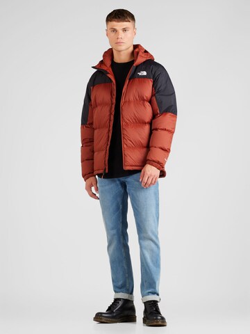 THE NORTH FACE Regular fit Outdoorjas 'Diablo' in Bruin