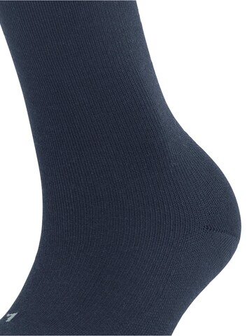 FALKE Socks 'Stabilizing Wool Everyday' in Blue