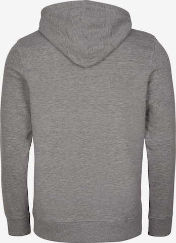 O'NEILL Sweatshirt 'Circle Surfer' in Grey