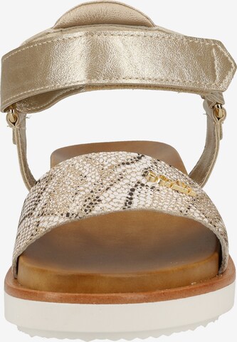 SCAPA Sandalen met riem in Goud